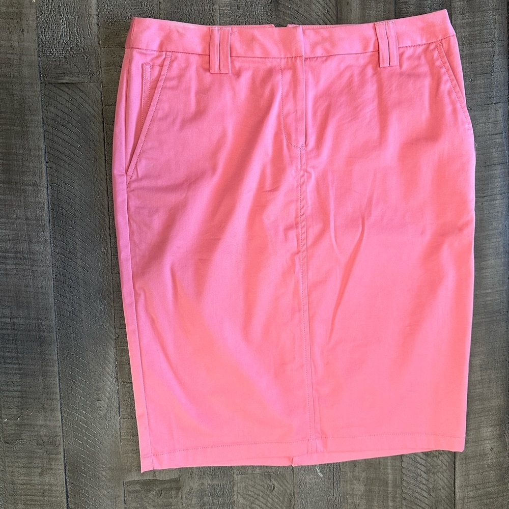 The Limited Pink Skirt